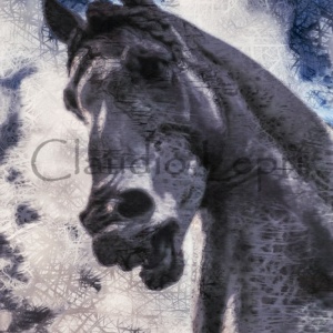 Leonardo's Horse - il Cavallo di Leonardo