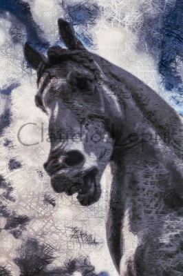 Leonardo's Horse - il Cavallo di Leonardo